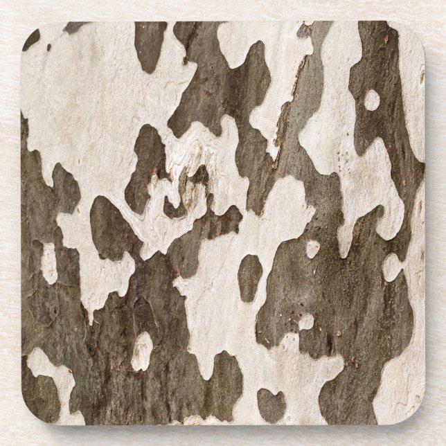 Dessous-de-verre Sycamore Bark (Devant)