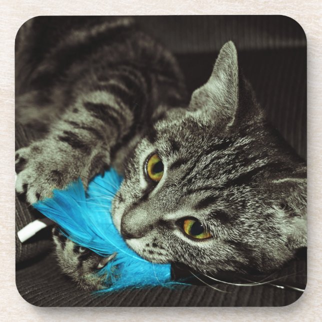 Dessous-de-verre Tabby Cat avec plume par Shirley Taylor (Devant)