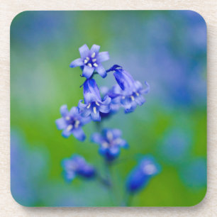 Dessous-de-verre Tapis de fleurs de jacinthe des bois