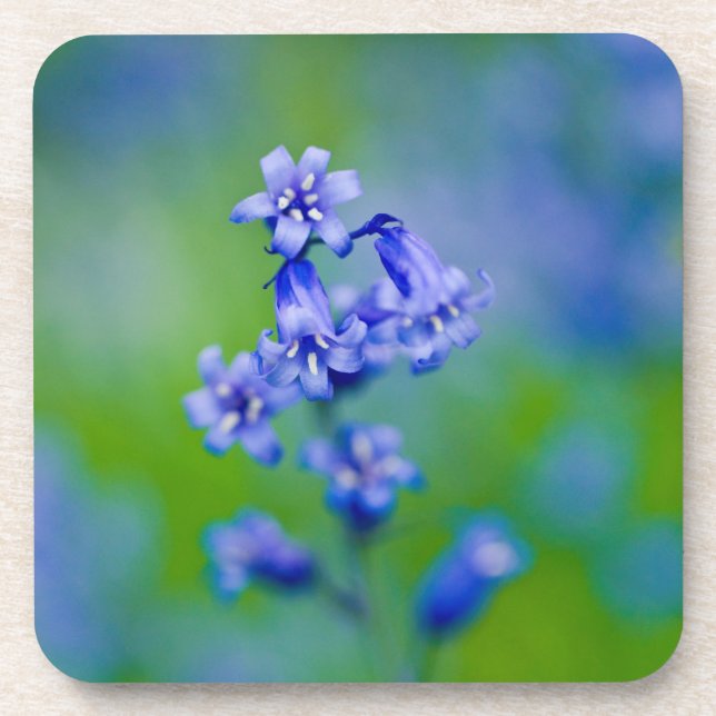 Dessous-de-verre Tapis de fleurs de jacinthe des bois (Devant)