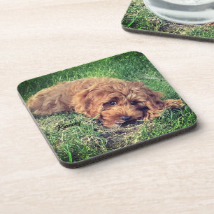 Dessous-de-verre Tapis de verre pour boisson Cute Golden Doodle