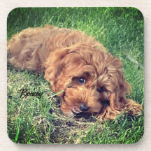 Tapis de verre pour boisson Cute Golden Doodle
