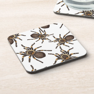 Dessous-de-verre Tarantula sur blanc