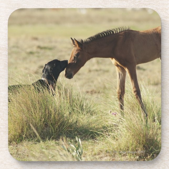 Dessous-de-verre Tarifa, Cadix, Andalousie, Espagne 2 (Devant)
