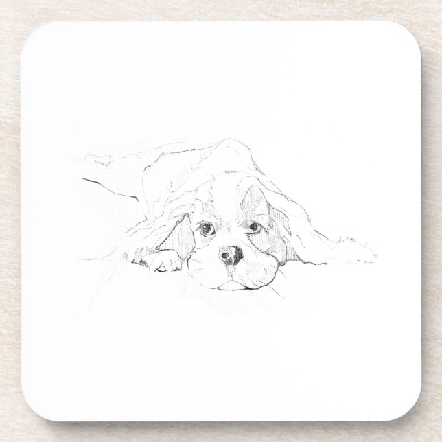 Dessous-de-verre Tasse Cavalier King Charles Spaniel (Devant)