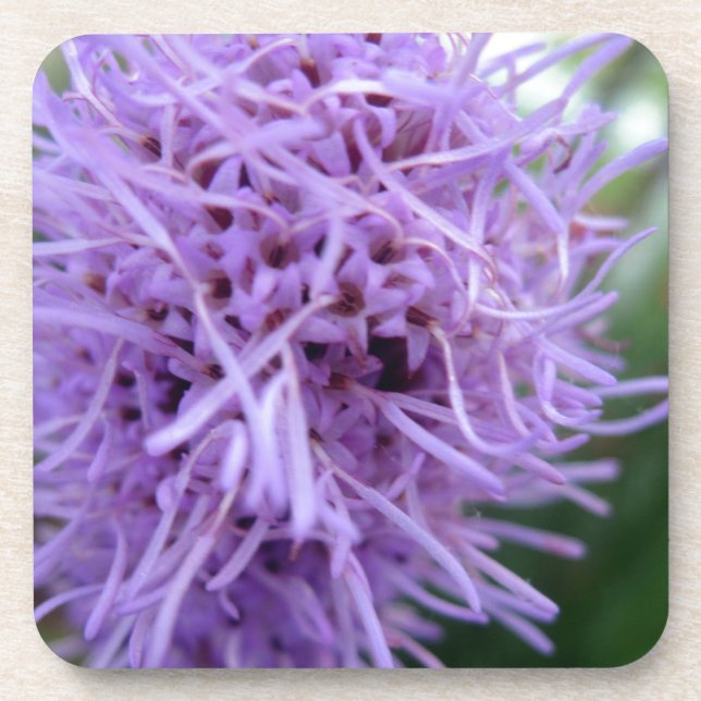 Dessous-de-verre Tentacle Spider Violet Flower (Devant)