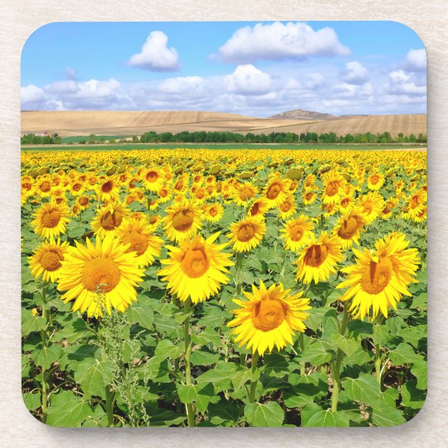 Dessous-de-verre Terrain de tournesol (Devant)