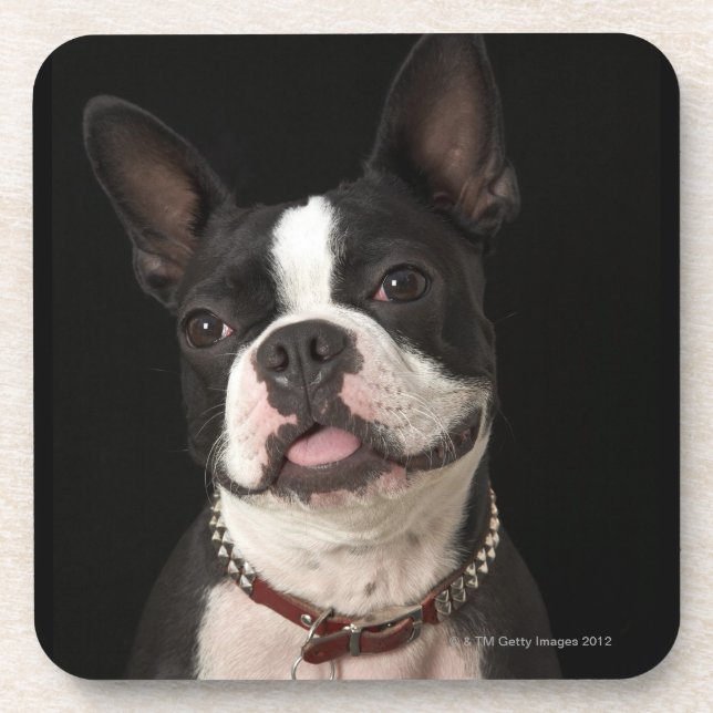 Dessous-de-verre Terrier de sourire de Boston avec le collier (Devant)
