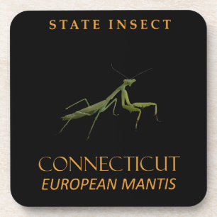 Dessous-de-verre Territoire du Connecticut Insecte La mante religie