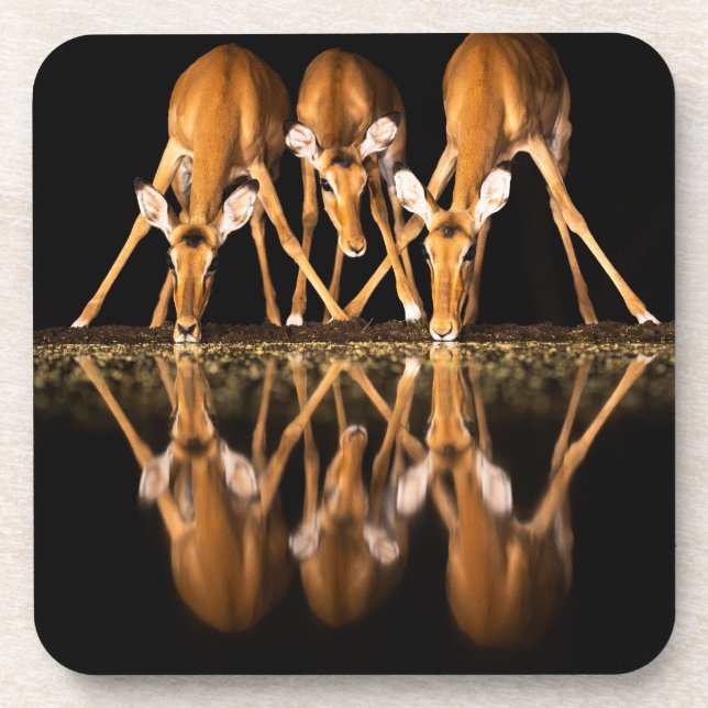 Dessous-de-verre Three Impala Drink Together at Night (Devant)
