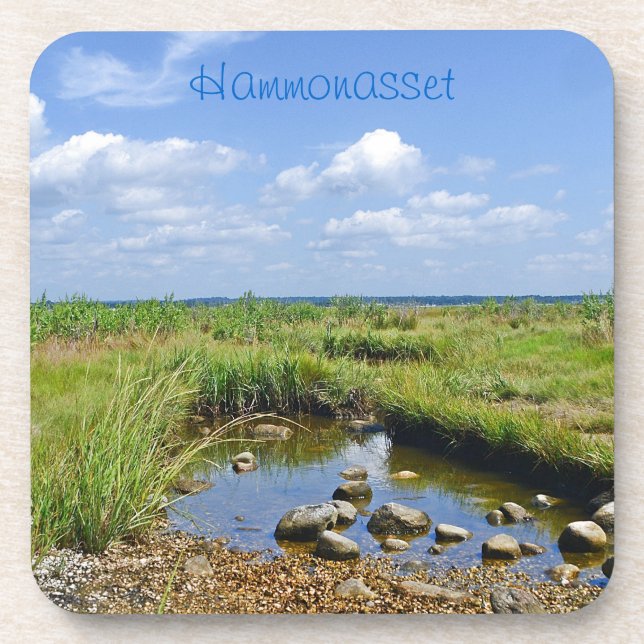 Dessous de verre Tidepool (Devant)