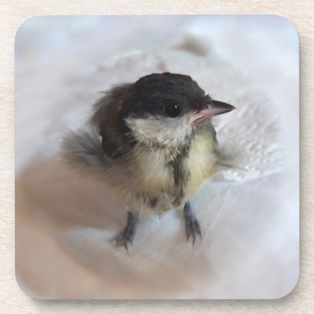 Dessous-de-verre Tidi my Bird le Parus Major (Devant)