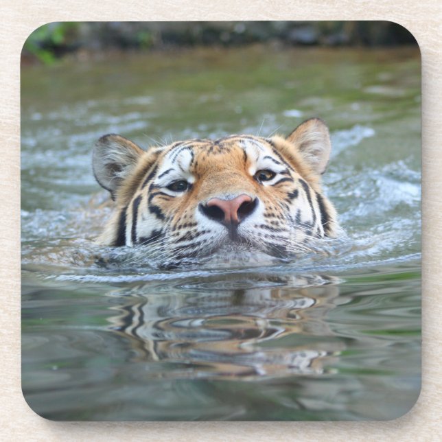 Dessous-de-verre Tiger 028 (Devant)