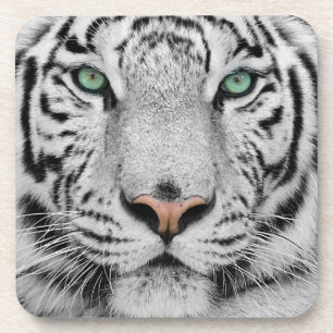 Dessous-de-verre Tigre blanc