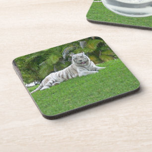 Dessous-de-verre Tigre Blanc au repos dans la fraîcheur d'une forêt