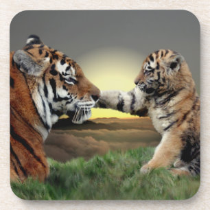 Dessous-de-verre Tigre et Ourson Set de 6 Sous-verres