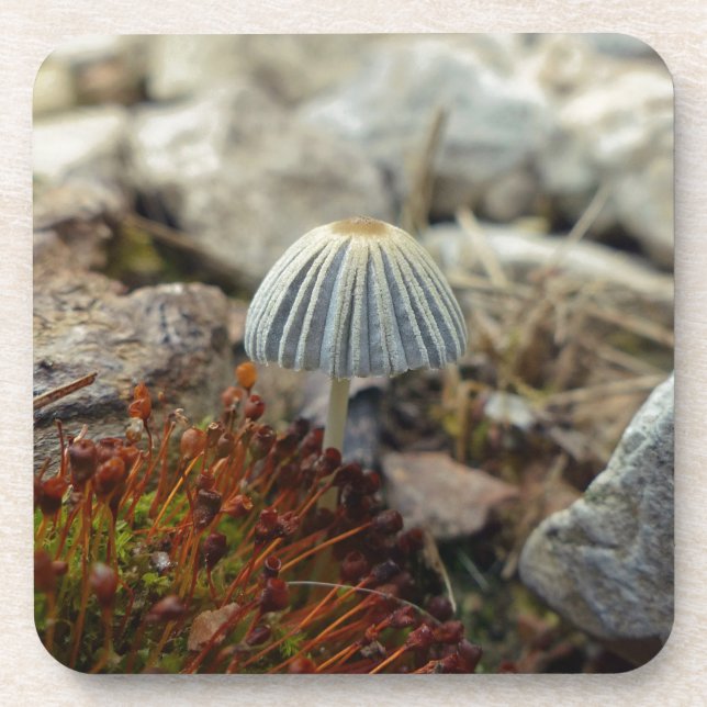 Dessous-de-verre Tiny Toadstool (Devant)