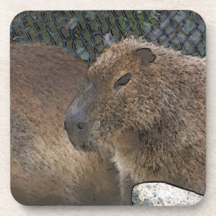 Dessous-de-verre toony capibarah