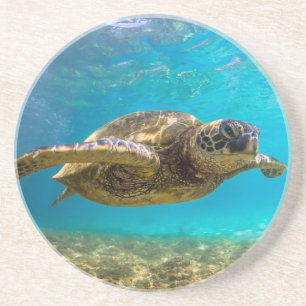 Dessous de verre tortue