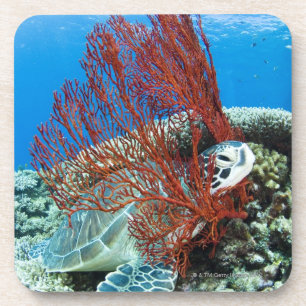Dessous-de-verre Tortue de mer reposant sous l'eau 2