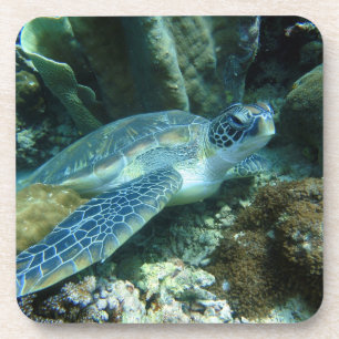 Dessous-de-verre Tortue de mer sur la photo des fonds marins