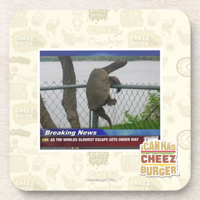 Dessous-de-verre Tortue d'Excaping (Devant)