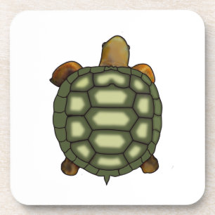 Dessous-de-verre Tortue verte magnifique sur fond blanc