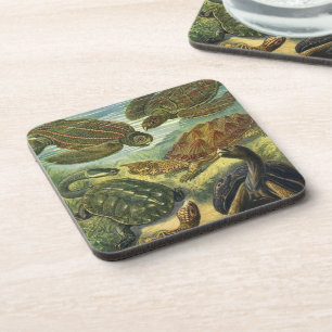 Dessous-de-verre Tortues de mer Tortue terrestre vintage par Ernst