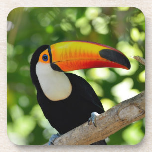 Dessous-de-verre Toucan