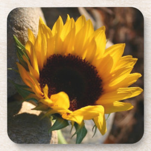 Dessous-de-verre Tournesol