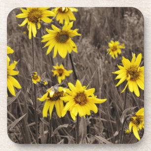 Dessous-de-verre Tournesol dans la Montagne Rocheuse