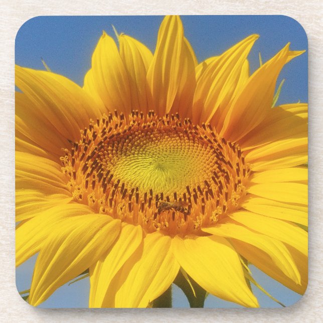 Dessous-de-verre Tournesol jaune (Devant)