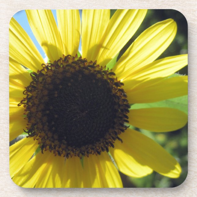 Dessous-de-verre Tournesol jaune (Devant)