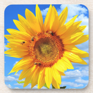 Dessous-de-verre Tournesol jaune et abeilles sur le ciel bleu - été
