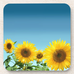 Dessous-de-verre Tournesols élégants sur des nuances de bleu ciel