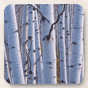 Dessous-de-verre Trembles dans le parc national de Gunnison