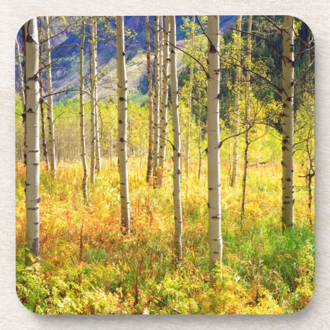 Dessous-de-verre Trembles en automne dans les Rocheuses (Devant)