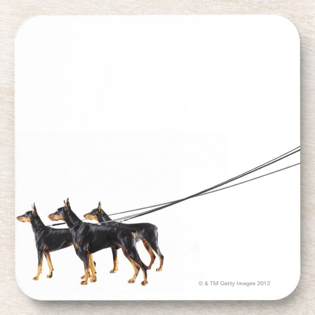 Dessous-de-verre Trois dobermann sur la laisse (Devant)