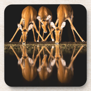 Dessous-de-verre Trois impalas boivent ensemble la nuit