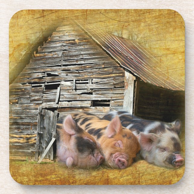 Dessous-de-verre Trois Petits Cochons À La Grange Rustique Snoozing (Devant)