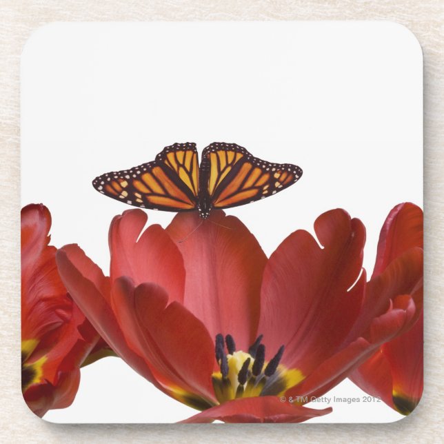 Dessous-de-verre Trois tulipes rouges et un papillon de monarque (Devant)