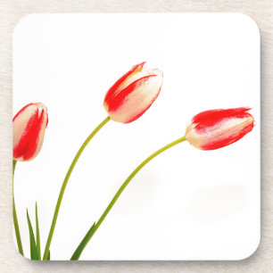 Dessous-de-verre Trois Tulipes sur blanc
