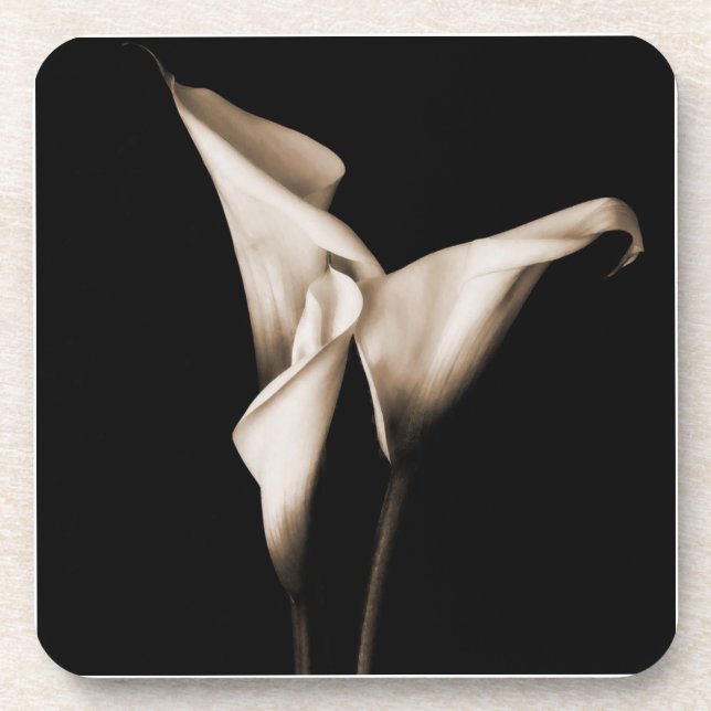 Dessous-de-verre Trois zantedeschias (Devant)