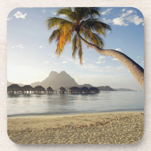 Dessous-de-verre Tropical Beaches Beach Huts, Bora Bora