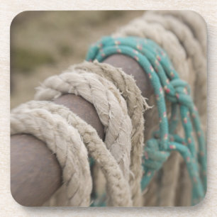 Dessous-de-verre Tucson, Arizona : Cordes et hanrnesses utilisés