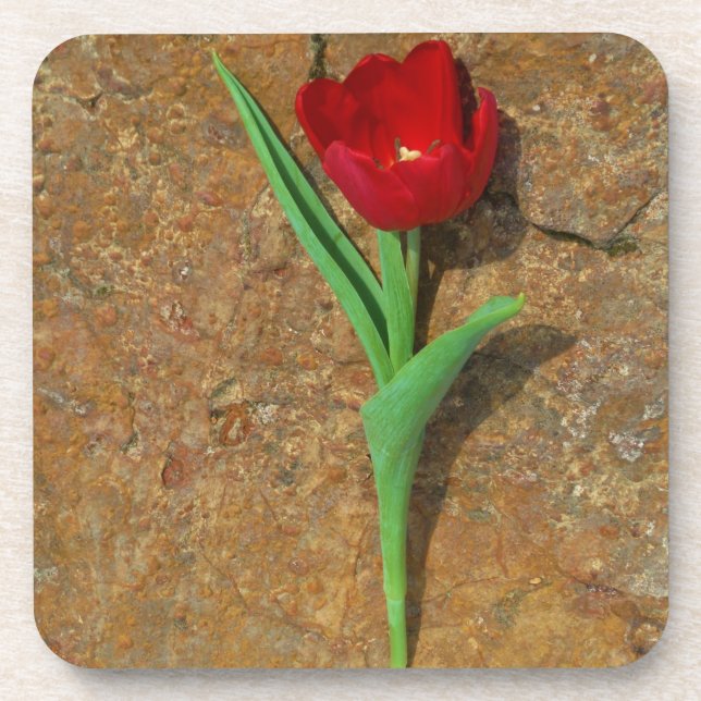 Dessous-de-verre Tulipe jaune et rouge (Devant)