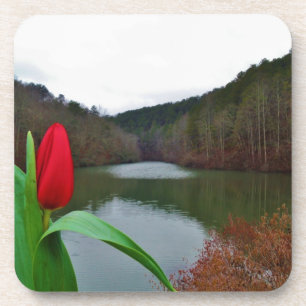 Dessous-de-verre Tulipe rouge printanière au lac Arrowhead