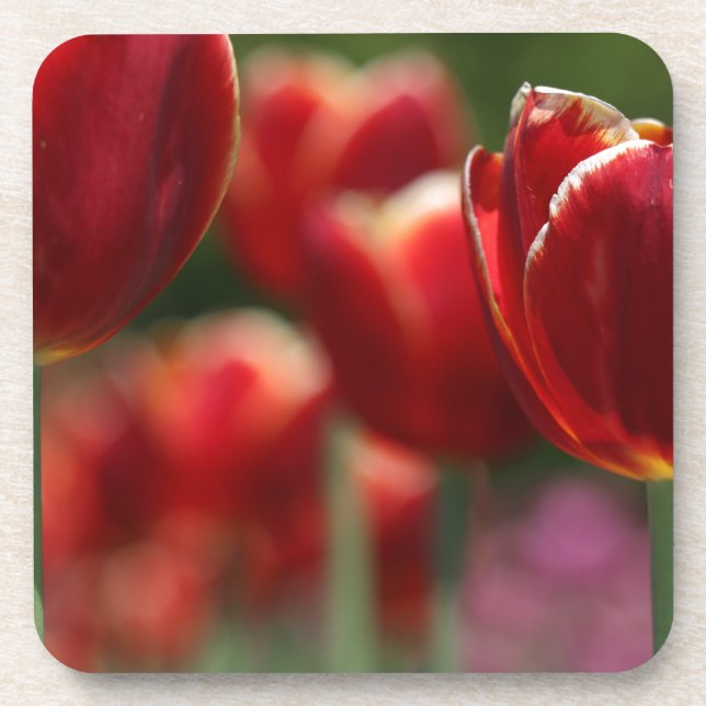 Dessous-de-verre Tulipes (Devant)