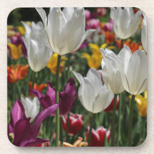 Dessous-de-verre Tulipes