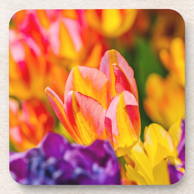Dessous-de-verre Tulipes Enchantant (Devant)
